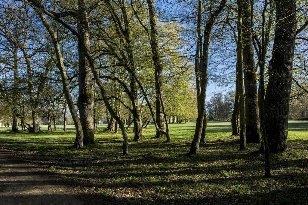 Chateau Des Briottieres Champigné Eksteriør billede